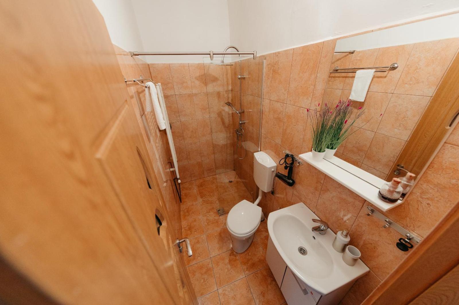 Flh - Apartament Mai Cu Aroma De Cafea Si Ceai Sibiu Exteriér fotografie